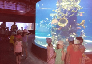 Dzieci z grupy 2 w Oceanarium.