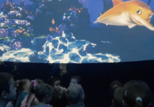 Przedszkolaki podczas projekcji filmu edukacyjnego Oceanarium w specjalnym namiocie