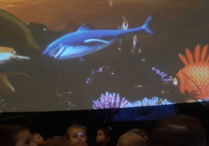 Przedszkolaki podczas projekcji filmu edukacyjnego Oceanarium w specjalnym namiocie