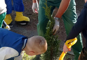 Chłopcy przysypują drzewka ziemią.