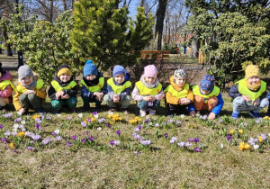 Zdjęcie grupowe w parku w pobliżu kwitnących krokusów