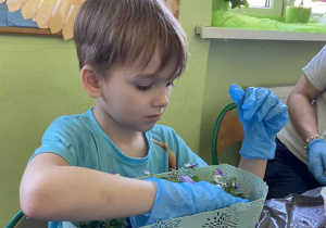 Dziecko sadzące wiosenne kwiaty przy stoliku
