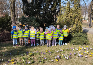 Zdjęcie grupowe w parku w pobliżu kwitnących krokusów