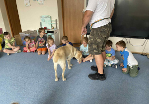 Pies jedzący smakołyki z ręki dziecka