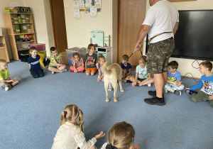 Pies jedzący smakołyki z ręki dziecka