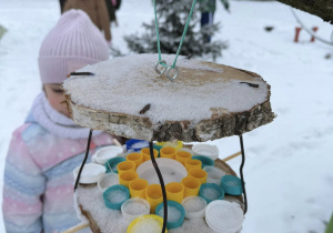 Zdjęcie przedstawia eko - karminiki dla ptaków zawieszone na drzewie w przedszkolnym ogrodzie.