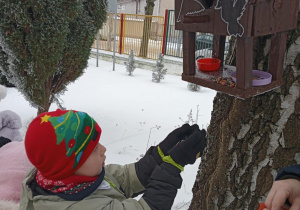 Zdjęcie przedstawia dzieci wsypujące ziarna do karmnika dla ptaków.