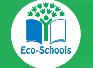 Międzynarodowy Certyfikat Zielona Flaga