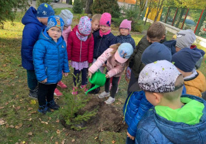 Dzieci z grupy 7 podlewają i przysypują ziemią drzewo.