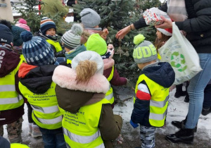 Dzieci z grupy 4 ozdabiają choinkę przygotowanymi eko-ozdobami